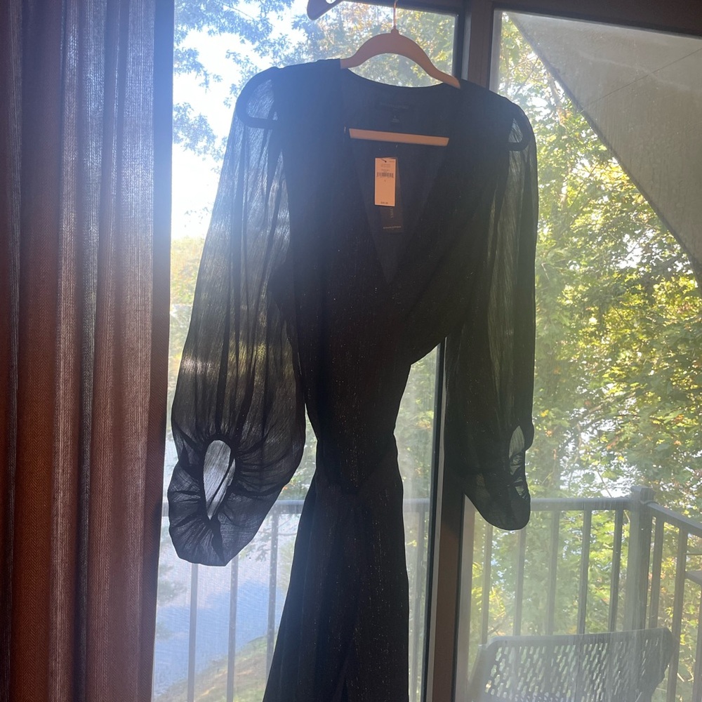Banana Republic Black Sheer Dress